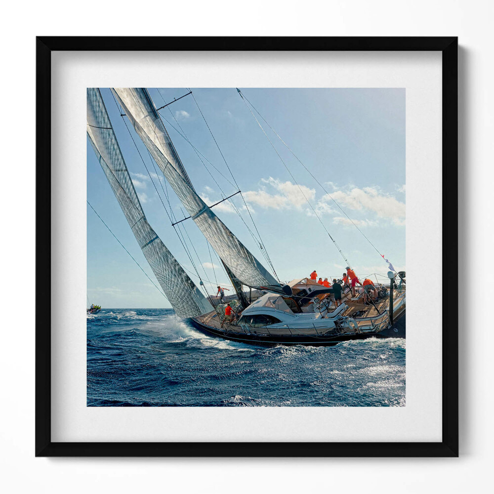 Obraz v rámu efektivní Regata plachetnic