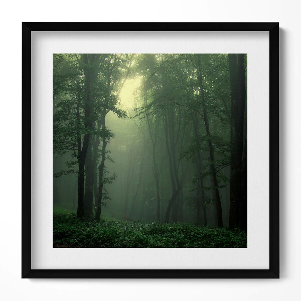 Obraz v rámu efektivní Mlžný les ráno