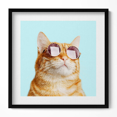 Obraz v rámu efektivní Legrační kočka s brýlemi