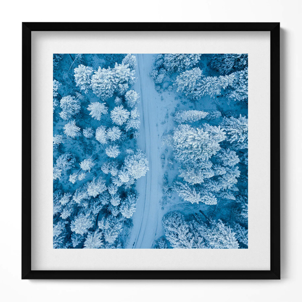 Obraz v rámu efektivní Les z ptačí perspektivy