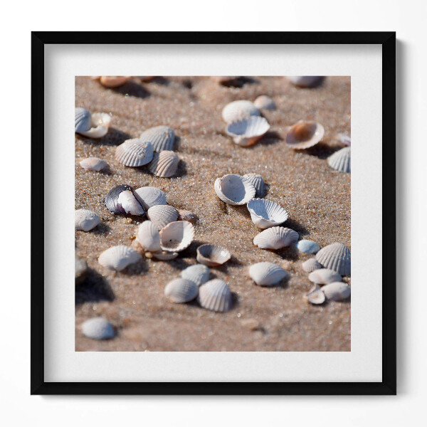 Obraz v rámu efektivní Mušle na pláži