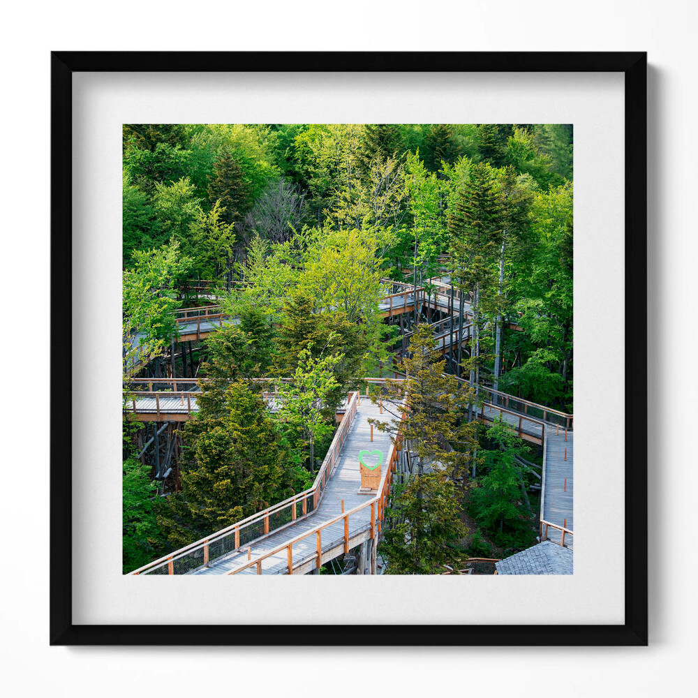 Obraz v rámu efektivní Stezka v Krynici Zdrój