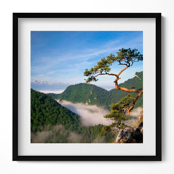 Obraz v rámu efektivní Sokolica Wierch v Pieninách