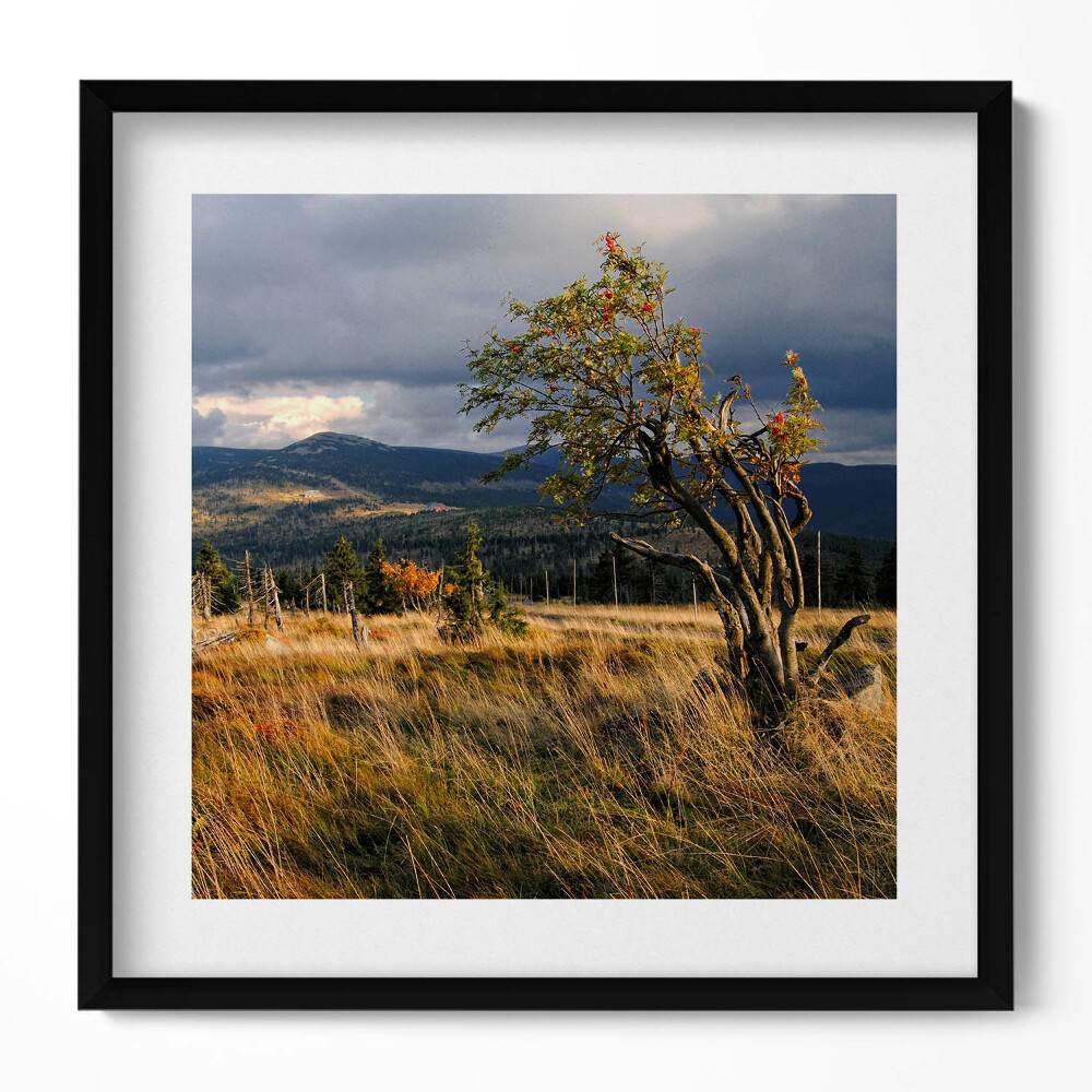 Obraz v rámu efektivní Krkonoše na podzim