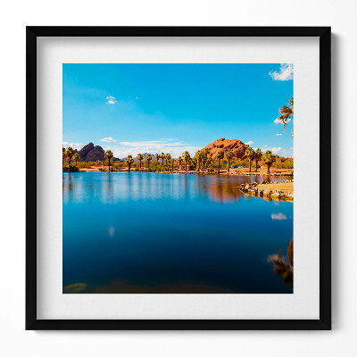 Obraz v rámu efektivní Krajina parku Papago