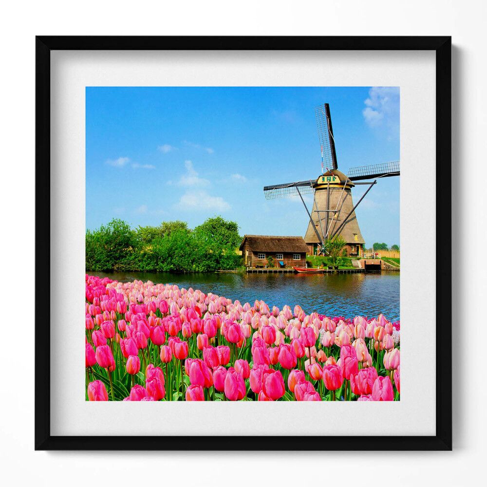 Obraz v rámu efektivní Holandský větrný mlýn s květinami