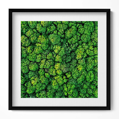 Obraz v rámu efektivní Les z ptačí perspektivy