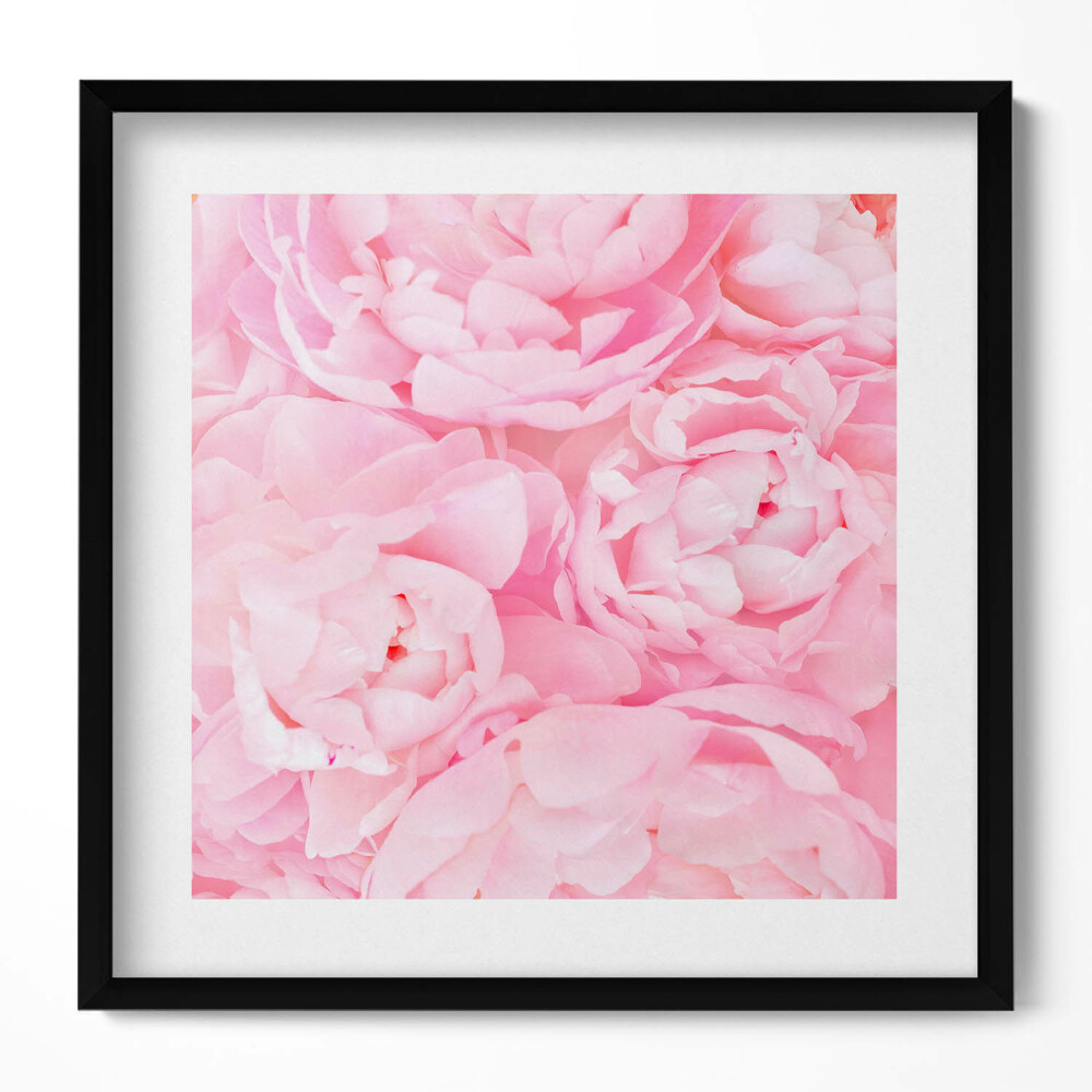 Obraz v rámu efektivní Kvetoucí květiny