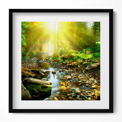 Obraz v rámu efektivní Lesní potok ve slunečním světle