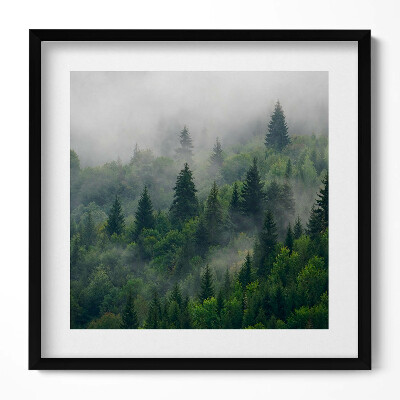 Obraz v rámu efektivní Lesní krajina v mlze