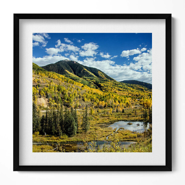 Obraz v rámu efektivní Krajina horské vegetace