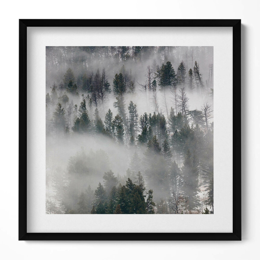 Obraz v rámu efektivní Zamlžená lesní krajina