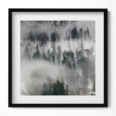 Obraz v rámu efektivní Zamlžená lesní krajina