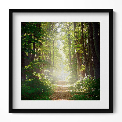 Obraz v rámu efektivní Lesní cesta mezi stromy