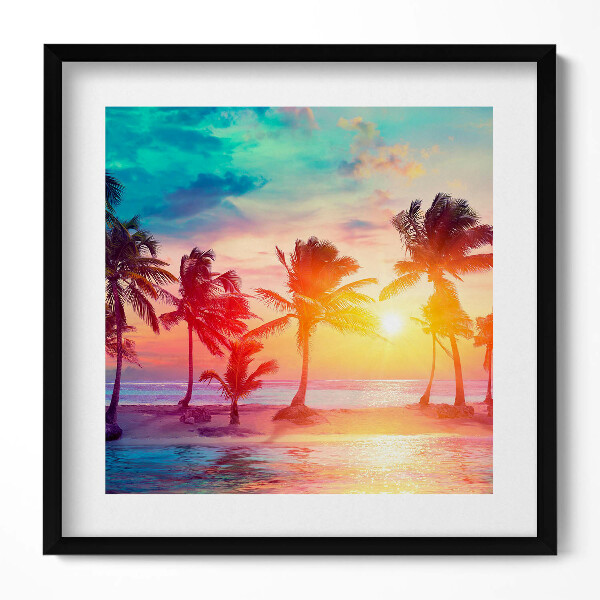 Obraz v rámu efektivní Miami palmy při východu slunce