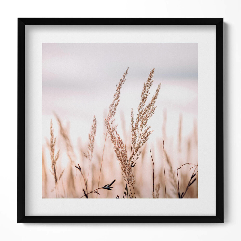 Obraz v rámu efektivní Boho romantická krajina jemných travin