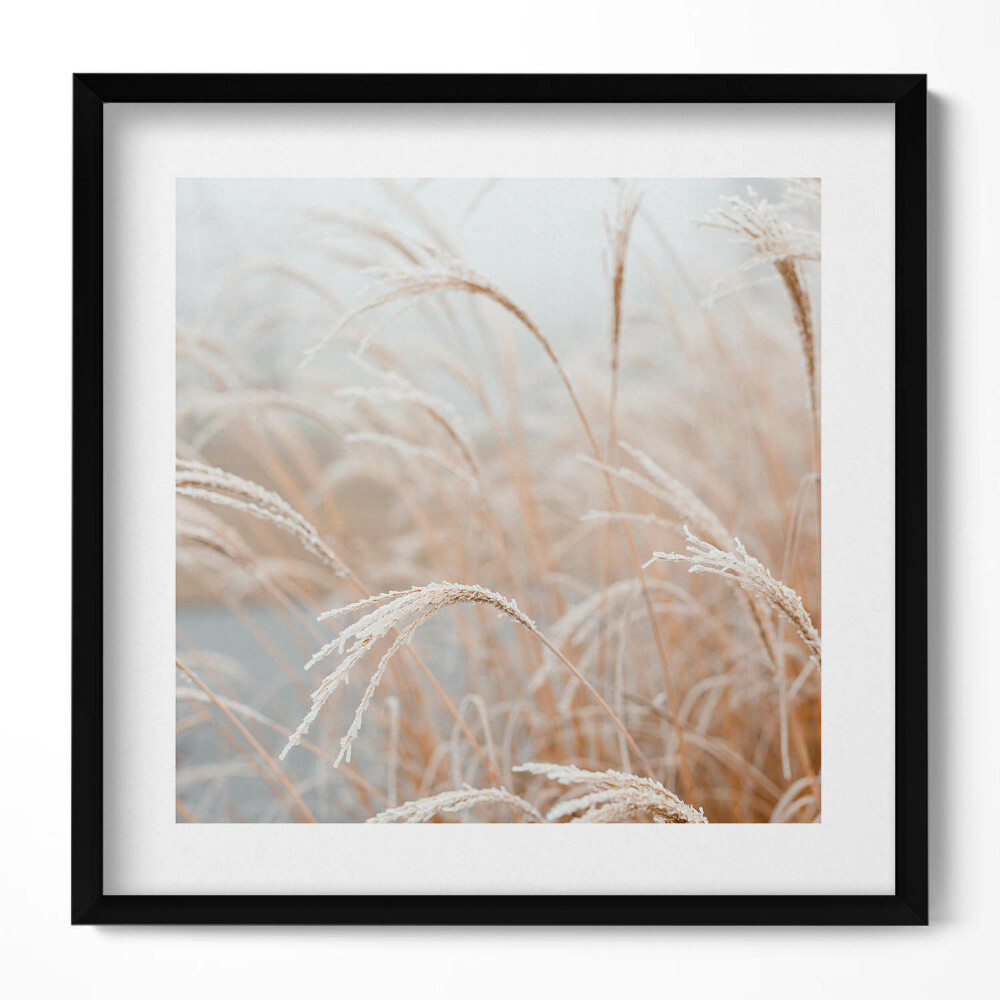 Obraz v rámu efektivní Jemné trávy v boho stylu