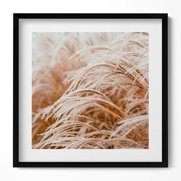 Obraz v rámu efektivní Jemné trávy v boho stylu
