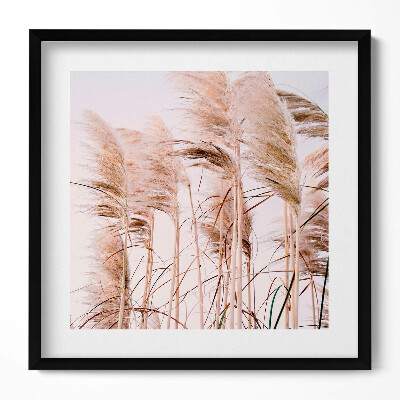 Obraz v rámu efektivní Romantická krajina trávy v boho stylu