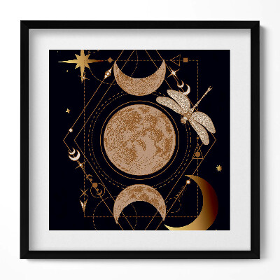 Obraz v rámu efektivní Magická kompozice prostoru a vážky