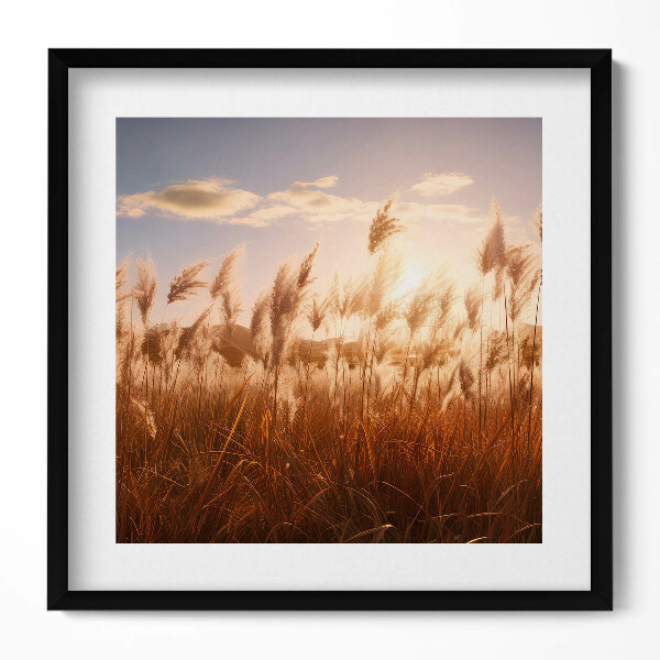 Obraz v rámu efektivní Romantický západ slunce nad trávou