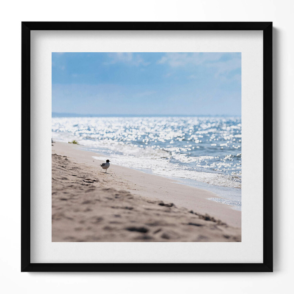 Obraz v rámu efektivní Mořské vlny a pták na pláži