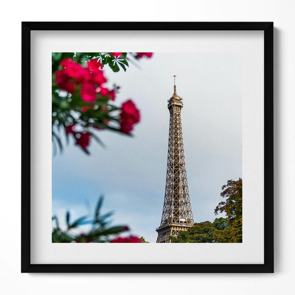 Obraz v rámu efektivní Eiffelova věž v květech - Paříž, Francie