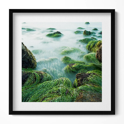 Obraz v rámu efektivní Tráva na břehu řeky