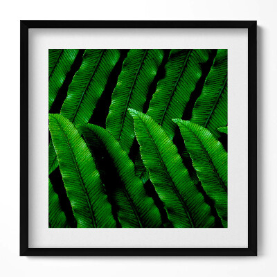 Obraz v rámu efektivní Detailní záběr na zelené listy