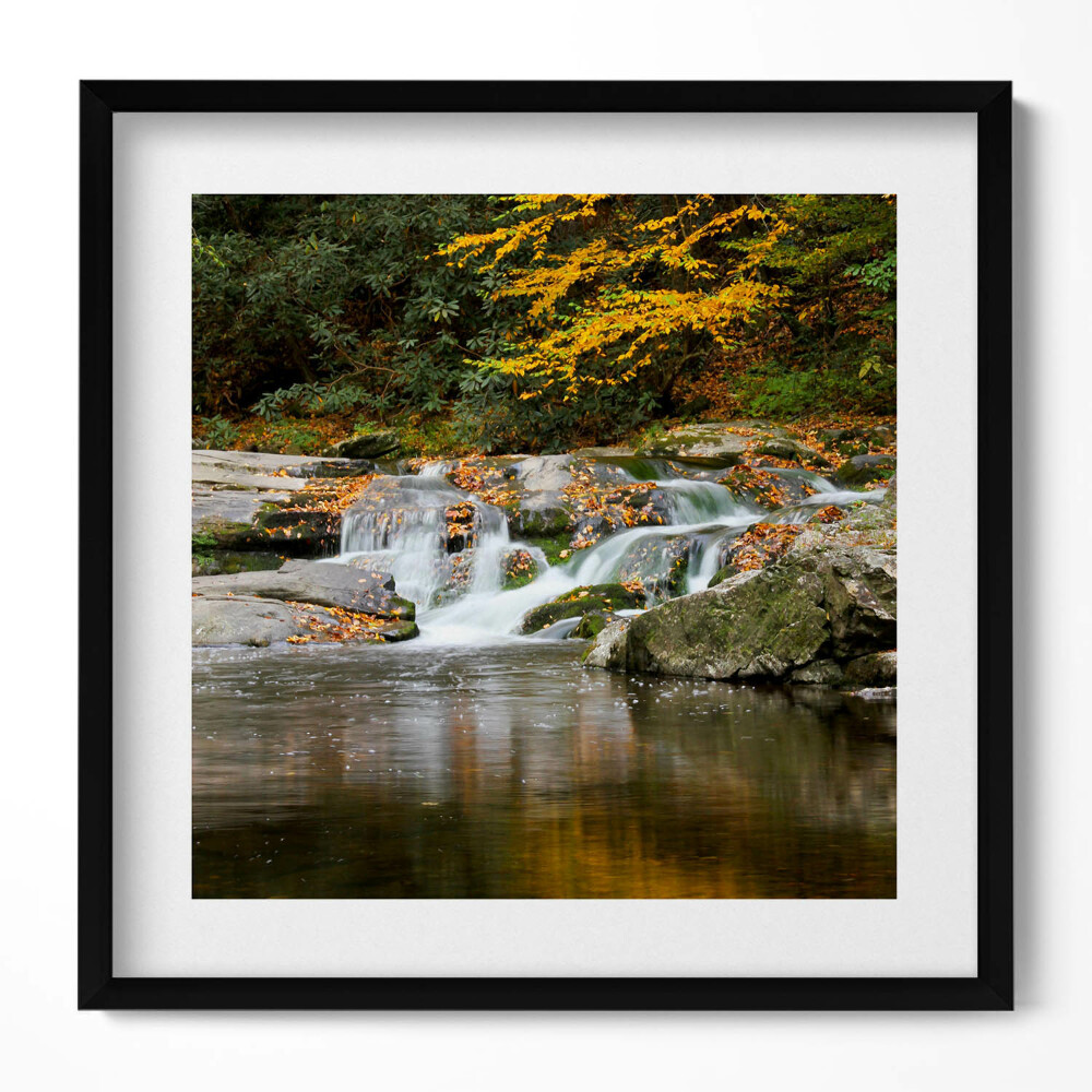 Obraz v rámu efektivní Zelená krajina lesního potoka