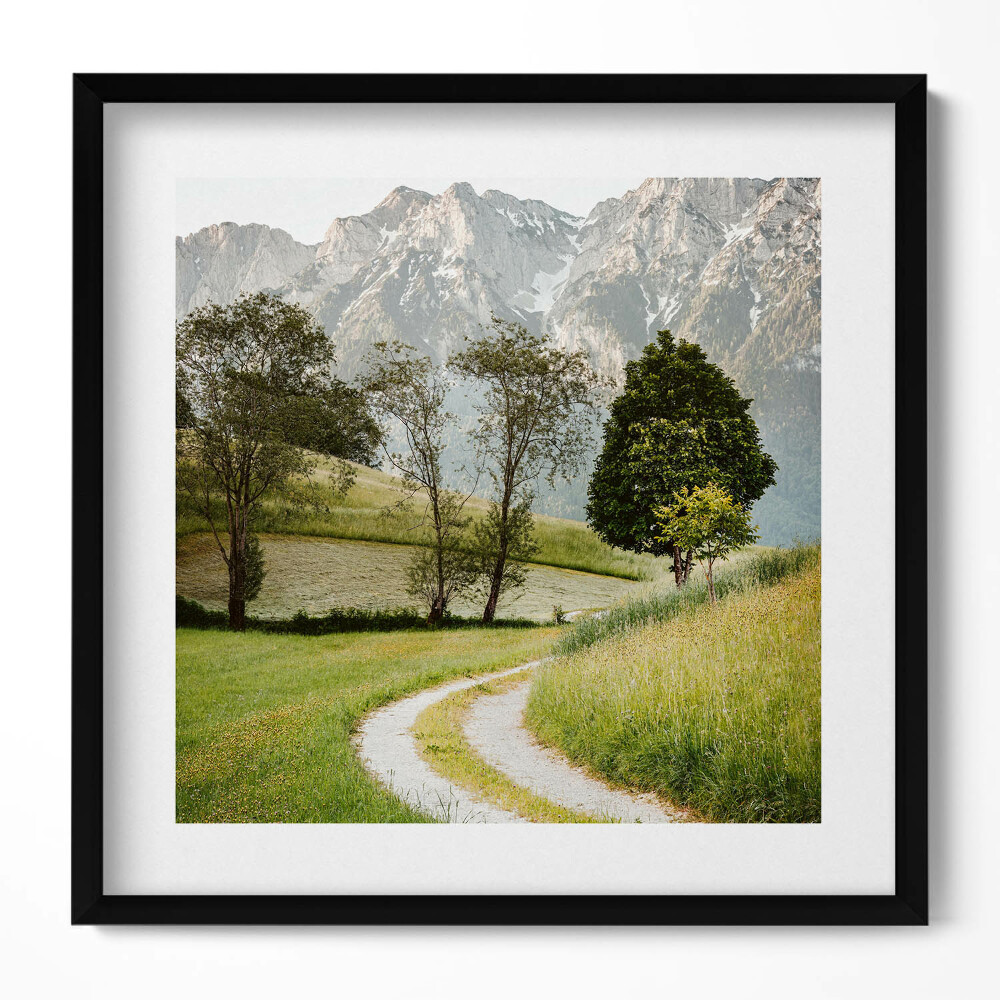 Obraz v rámu efektivní Polní pes v horách