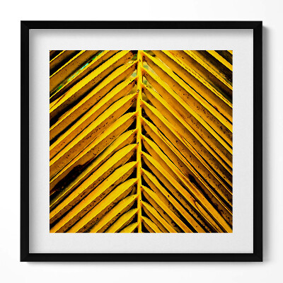 Obraz v rámu efektivní Zlaté listy rostliny