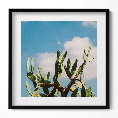 Obraz v rámu efektivní Kaktus proti obloze