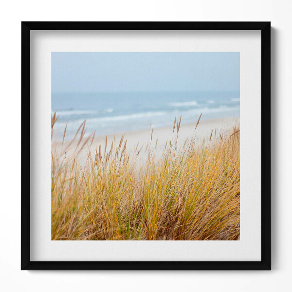 Obraz v rámu efektivní Krajina přímořské pláže a trávy