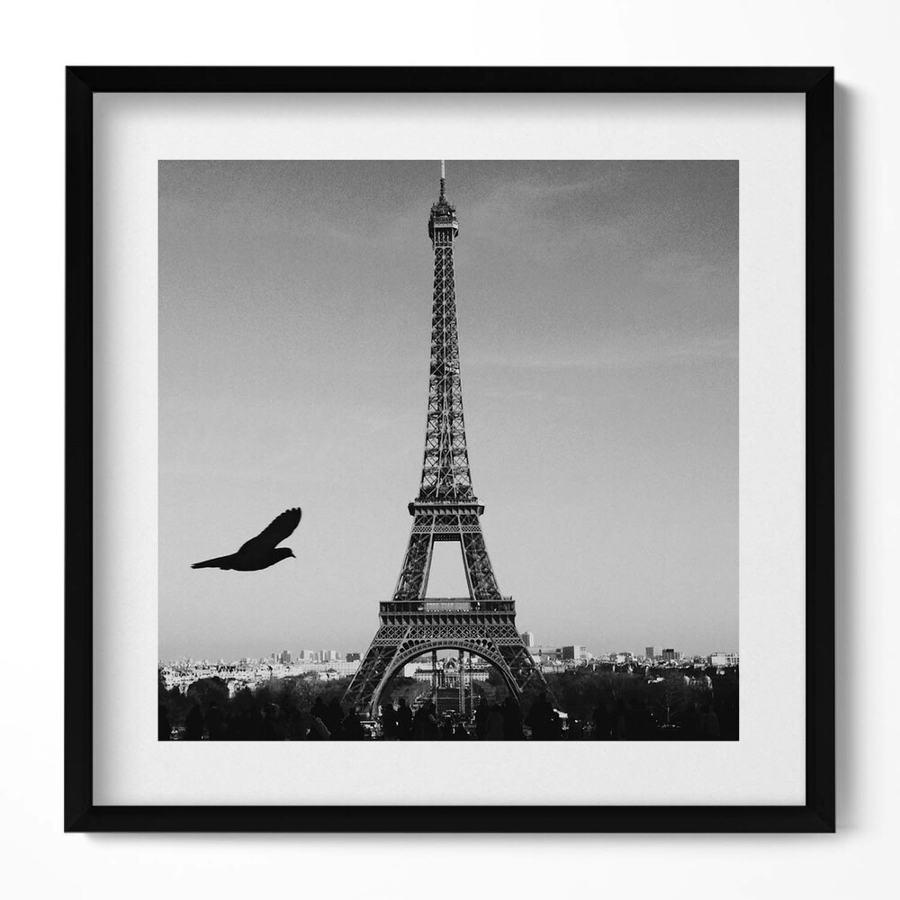 Obraz v rámu efektivní Eiffelova věž a létající pták Paříž