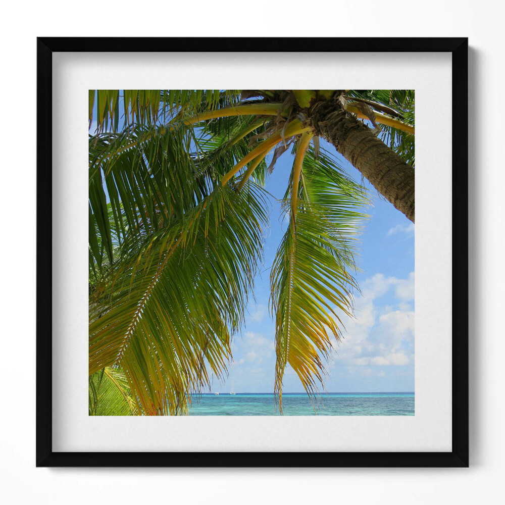 Obraz v rámu efektivní Pláž palmový oceán dovolená