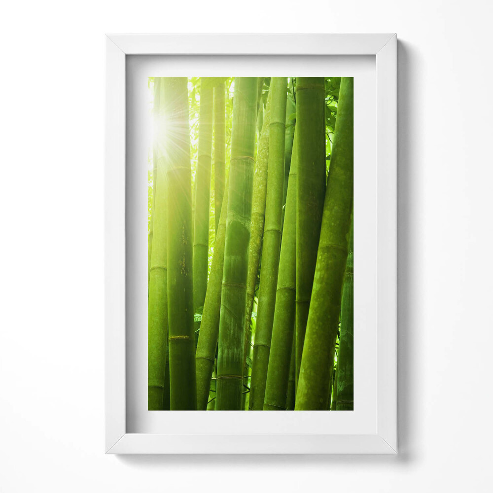 Obraz s rámem elegantní Zelené bambusové stonky