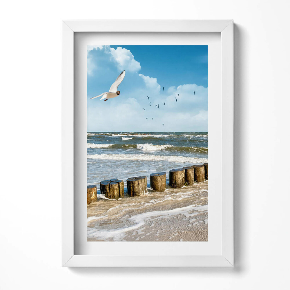 Obraz s rámem elegantní Pták u moře