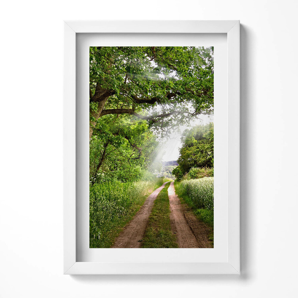 Obraz s rámem elegantní Cesta, stromy a sluneční paprsky