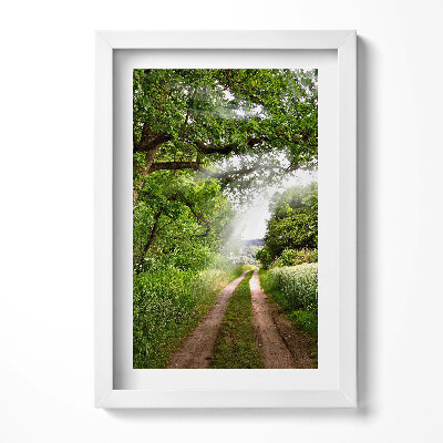 Obraz s rámem elegantní Cesta, stromy a sluneční paprsky
