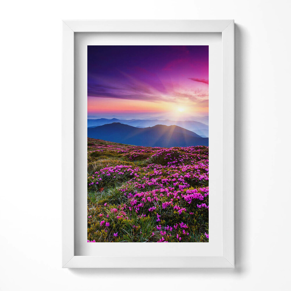 Obraz s rámem elegantní Východ slunce květiny