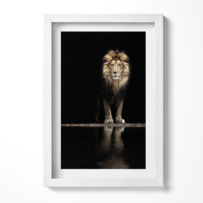Obraz s rámem elegantní Osamělé divoké zvíře lev