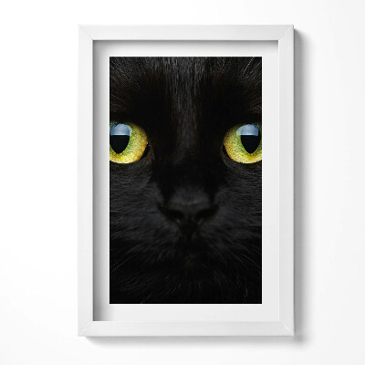 Obraz s rámem elegantní Zvířecí kočičí oči