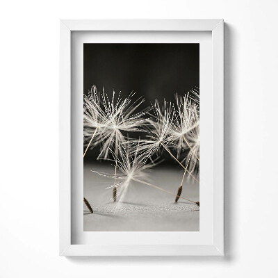 Obraz s rámem elegantní Jemný pyl pampelišky