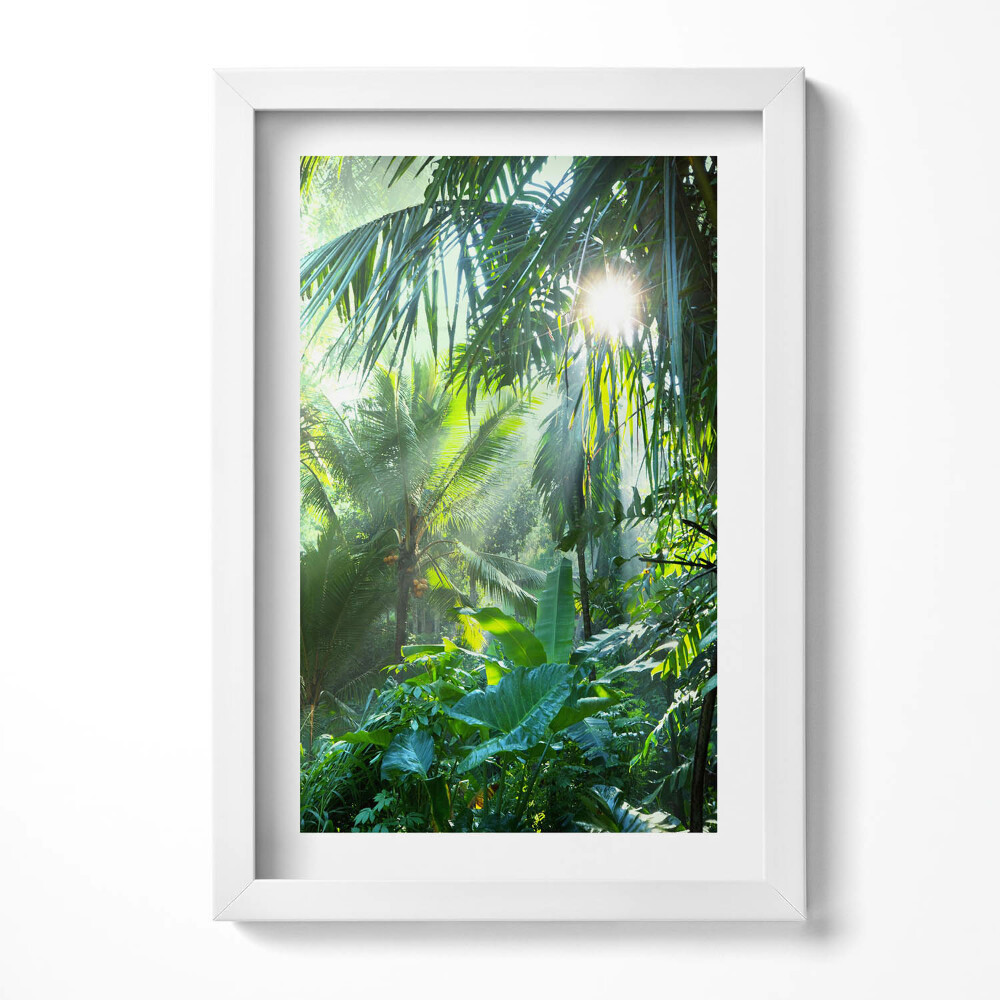 Obraz s rámem elegantní Zelená džungle plná rostlin