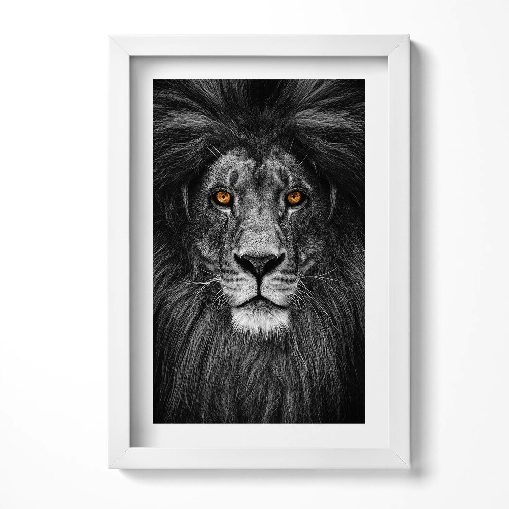 Obraz s rámem elegantní Černá a bílá hlava lva