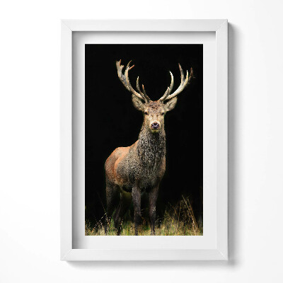 Obraz s rámem elegantní Jelen na černém pozadí