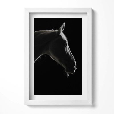 Obraz s rámem elegantní Koňská hlava na černém pozadí