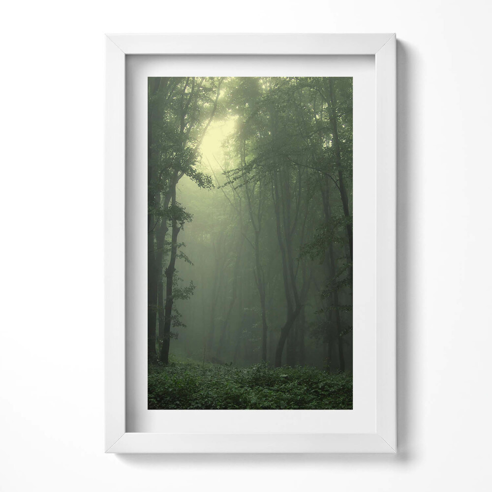 Obraz s rámem elegantní Mlžný les ráno