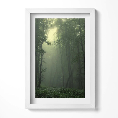 Obraz s rámem elegantní Mlžný les ráno